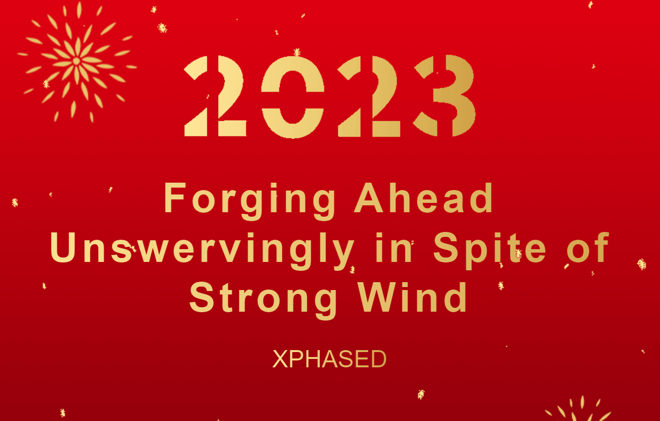Forging Ahead Unswervingly in Spite of Strong Wind